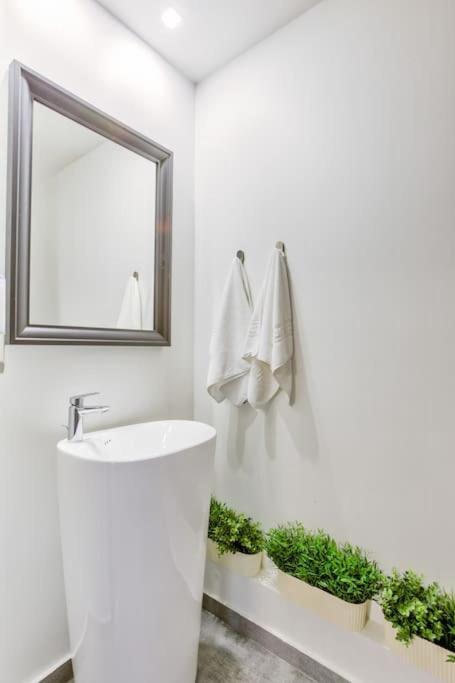Splendor 3 Bedroom Flat In Silver Mountain بويانا براسوف المظهر الخارجي الصورة